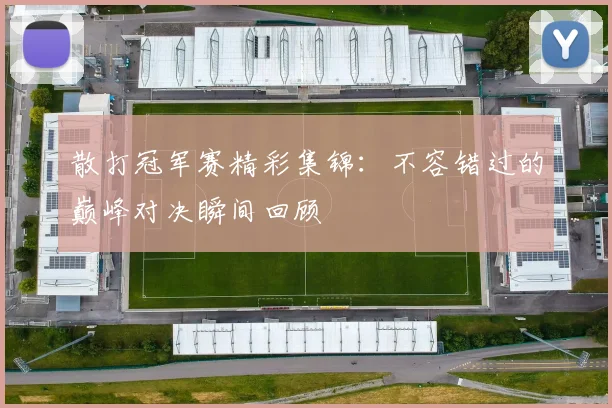散打冠军赛精彩集锦:不容错过的巅峰对决瞬间回顾